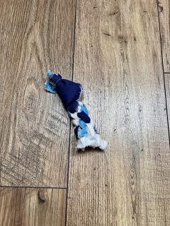 Petit jouet bleu & blanc – corde lavable pour petit chien type Bichon / Klein blauw & wit speeltje – wasbaar touw voor kleine hond zoals Bichon / Small blue & white toy – washable rope for small dog like Bichon