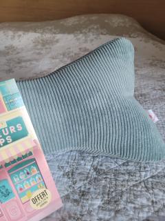 Photo de l'article Coussin de lecture bleu clair