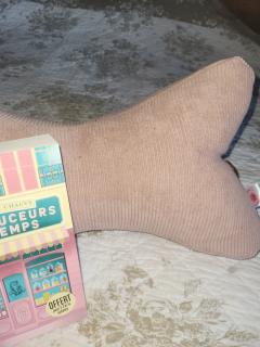 Photo de l'article Coussin de lecture vieux rose