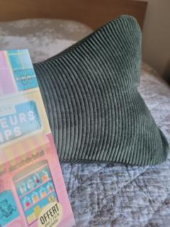 Photo de l'article Coussin de lecture kaki