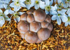 Savon nourrissant à l’amande – Artisanal à la fleur d’oranger & argile rouge, douceur quotidienne / Amandelzeep – Ambachtelijk met oranjebloesem & rode klei, dagelijkse zachtheid / Almond soap – Handmade with orange blossom & red clay, daily softness