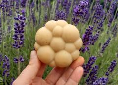 Savon naturel en forme de ruche sur fond de lavande fraîche / Natuurlijk bijenzeepje op verse lavendel / Bee-shaped natural soap on fresh lavender