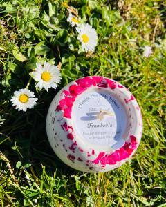 Bougie parfum framboise présentée dans l’herbe / Raspberry scented candle presented in the grass / Frambozengeurkaars gepresenteerd in het gras