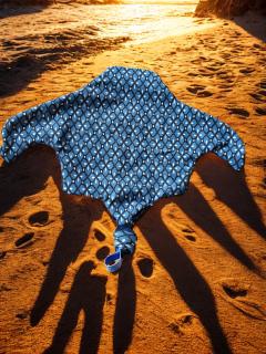 Photo de l'article Doudou raie manta