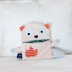 Photo de l'article Mange-soucis Castor