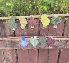 Foto van het artikel Rokophouder vegetaal