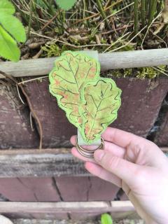 Photo de l'article Feuille Vert Pomme