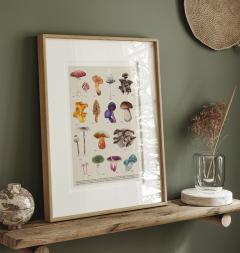 Affiche décorative champignons – encadrée, ambiance chaleureuse / Decoratieve paddenstoelenposter – ingelijst, gezellige sfeer / Decorative mushroom print – framed, cosy vibe