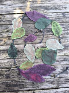 Photo de l'article Châtaigne Mauve