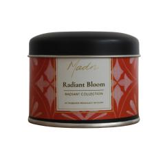 Photo de l'article Radiant Bloom