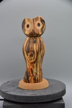 Photo de l'article Chouette humeur 5