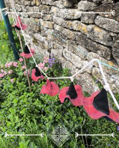Photo de l'article Guirlande Sorcière d’Écosse