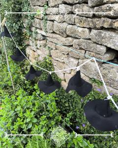 Foto van het artikel PROMO – Zwarte Heksenslinger