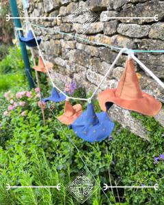 Photo de l'article Guirlande de Magicien