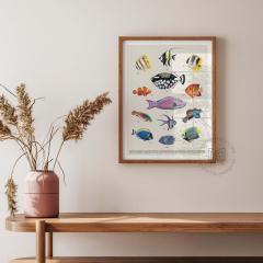 Affiche éducative poissons coralliens – déco murale poétique et colorée pour enfants / Educatieve poster koraalvissen – kleurrijke en poëtische wanddecoratie voor kinderen / Educational coral reef fish poster – poetic and colorful wall art for kids