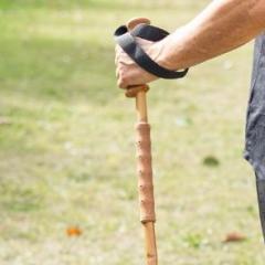 Photo de l'article Bâtons randonnée bambou