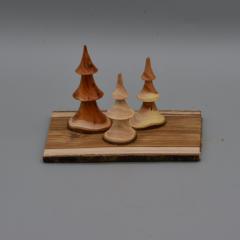 Photo de l'article Forêt de sapins