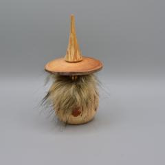 Photo de l'article Gnome barbu 1