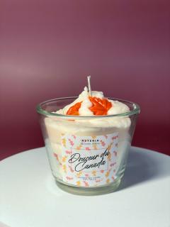 Photo de l'article MINI bougie - Douceur du Canada