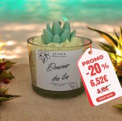 Photo de l'article PROMO -20% Mini - douceur des îles cactus Aloe