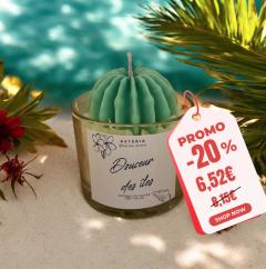PROMO -20% mini bougie parfumée Douceur des Îles cactus foncé, cire de soja naturelle, senteur exotique et fraîche, idée cadeau artisanale made in Belgium, décoration cosy disponible sur Wimzzi / PROMO -20% mini geurkaars Douceur des Îles donker cactus, natuurlijke sojawas, exotische frisse geur, ambachtelijk Belgisch cadeau en sfeervolle decoratie op Wimzzi / PROMO -20% mini scented candle Douceur des Îles dark cactus, natural soy wax, fresh exotic fragrance, handmade gift made in Belgium, cosy home decor on Wimzzi