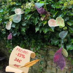 Picture of the product PROMO -15% Purple Chestnut Leaves