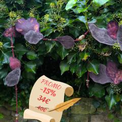 Picture of the product PROMO -15% Mauve & Grey Leaves