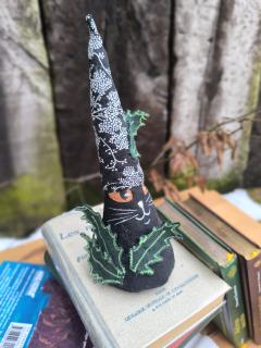 Foto van het artikel kat-bouter met holy - zwaart kat