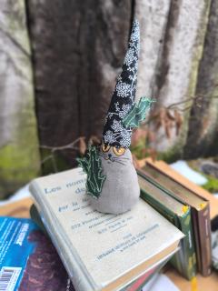 Photo de l'article Gnominet Houx - chat gris