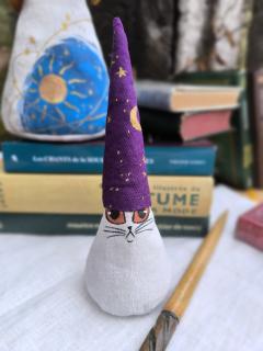 Photo de l'article Gnominet apprenti sorcier - chat blanc