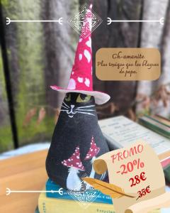 Photo de l'article PROMO Chats Gnomes et Magiciens