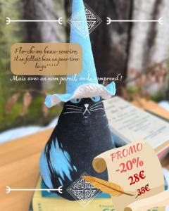 Photo de l'article PROMO -20% Chagicien flocon - chat noir