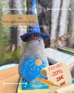 Photo de l'article PROMO -20% Chagicien celeste - chat gris