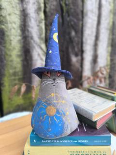 Photo de l'article Chagicien celeste - Titi