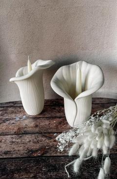 Photo de l'article Calla Alba (version naturel)