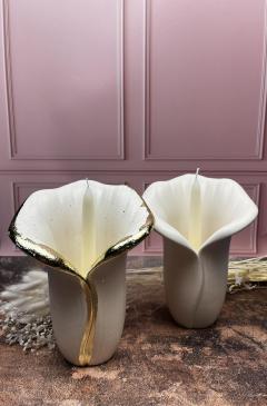 Picture of the product Calla Alba