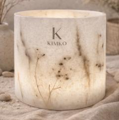 Photo de l'article Photophore Botanique