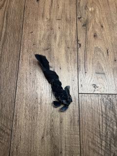 Foto van het artikel Noeud d'Évy XS jeans uit speciale editie