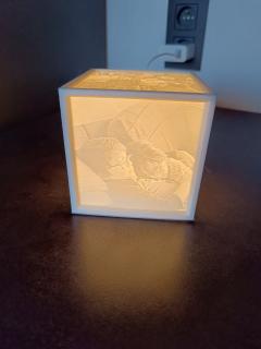 Photo de l'article Lampe 3D LED personnalisée avec photos
