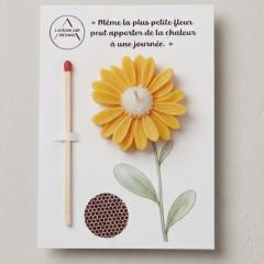 Foto van het artikel Bougie flottante Mimosa