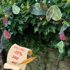 Photo de l'article PROMO -15% Guirlande Feuilles Recyclées