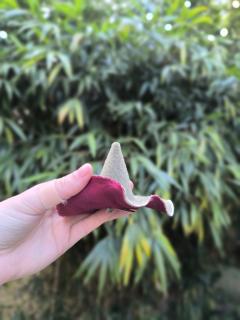 Photo de l'article 5. Laine kaki - Pince à Cheveux