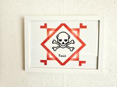 Picture of the product Toxic Skull Print