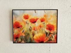 Photo de l'article Coquelicots rouge-orange 34x26cm encadrée