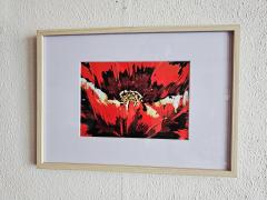 Photo de l'article Osez le rouge Coquelicot