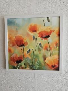Photo de l'article Photo de Coquelicots 30x30cm SANS cadre en bois blanc