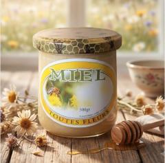 Photo de l'article bocaux de 500 grammes de miel de printemps artisanal – Crémeux, local et 100 % naturel