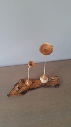 Foto van het artikel Gedraaide bloemen van lokaal hout.