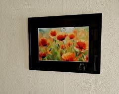 Picture of the product Photo de Coquelicots 30x30cm avec cadre en bois blanc