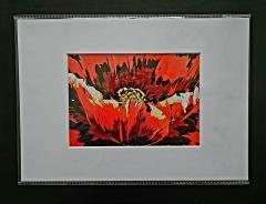 Photo de l'article Osez le rouge – coquelicot A4 avec passe-partout blanc